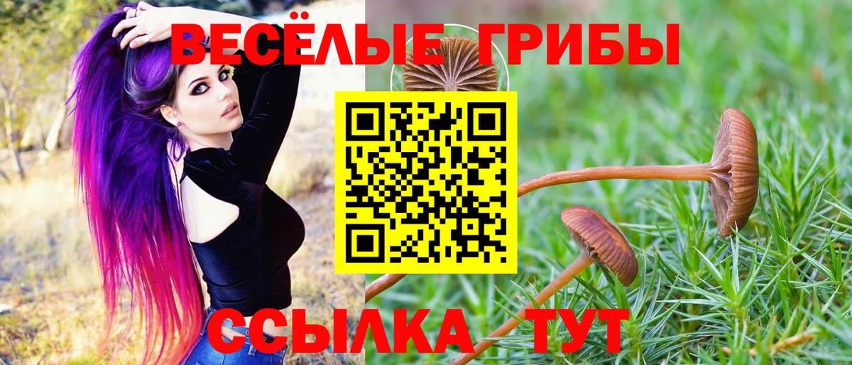 где купить наркотик  Вход с VPN  Белорецк  Галлюциногенные грибы MAGIC MUSHROOMS 